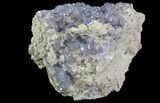 Purple/Gray Fluorite Cluster - Marblehead Quarry Ohio #81185-2